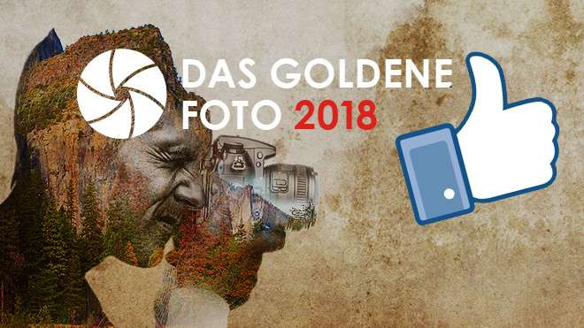 Das Goldene Foto: Jetzt Facebook-Fan werden!